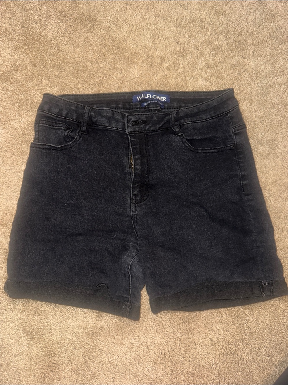 Wildflowers Black High-Rise Denim Shorts with Rolled Hem